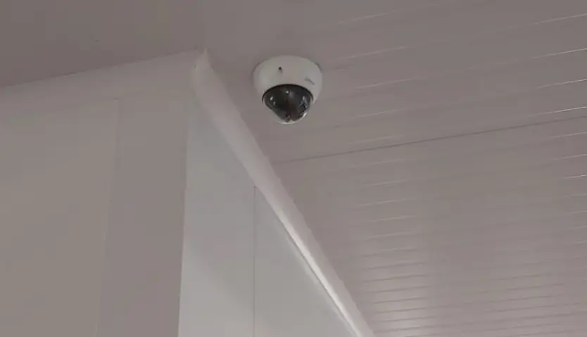 Cámaras de vigilancia de la cocina