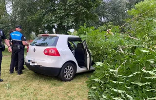 Un coche se sale de la vía y se va contra un árbol en Salas Bajas