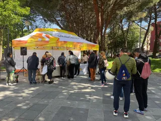Campaña SALdeCompras | ayto Salamanca