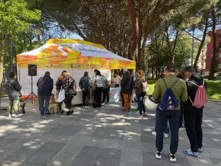 Campaña SALdeCompras | ayto Salamanca