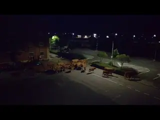 Vacas cruzando por El Encinar