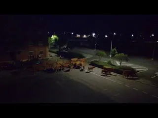 Vacas cruzando por El Encinar