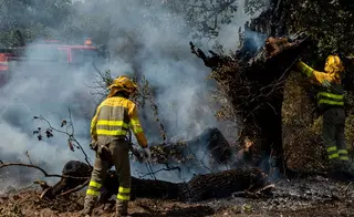 El fuego quema una zona de pasto en los entornos de la N-620 y la A-62 en Valdecarpinteros | Vicente | ICAL