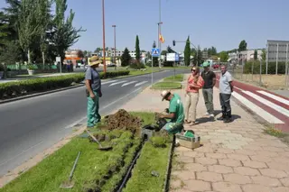 Santa Marta amplía el riego del parterre de la avenida de Madrid
