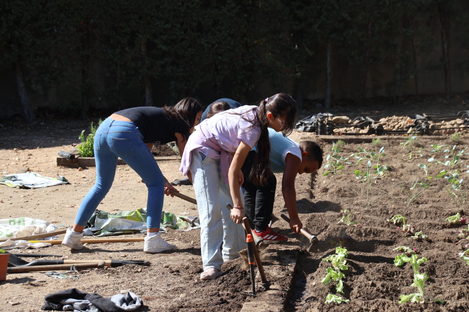 La Concejala De Medio Ambiente, Mar&iacute;a Jos&eacute; Coca, Informa Sobre El Proyecto De Huertos Escolares (9)