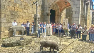 Bendición marrano de San Antón, en La Alberca. Foto Rosa Gómez