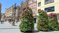 Torres florales en la plaza del Liceo | Ayto Salamanca