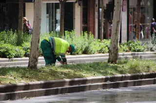 Trabajador del servicio de jardines, foto archivo datos de paro (2)