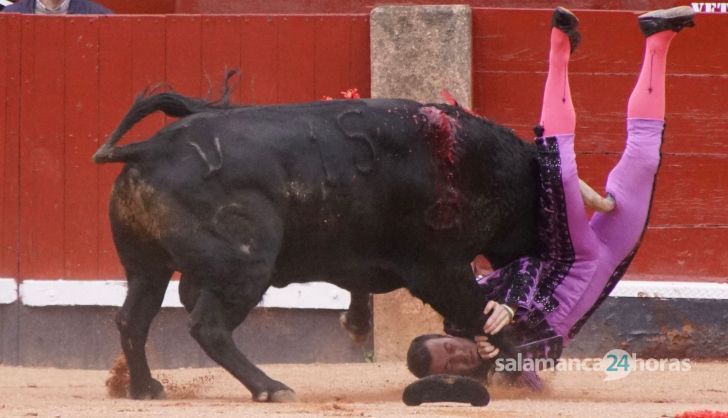 GALERÍA | Corrida concurso de despedida de López Chaves y El Juli: momentos más destacados del último festejo de abono de la Feria Taurina Virgen de la Vega 2023