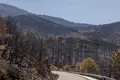 Ya pueden solicitarse las ayudas de 500 euros para las familias desalojadas por los incendios forestales - ICAL