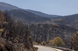 Ya pueden solicitarse las ayudas de 500 euros para las familias desalojadas por los incendios forestales - ICAL