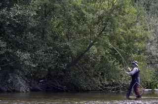 Pesca de la trucha. ICAL