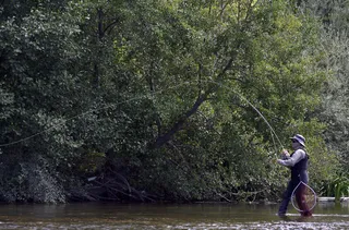Pesca de la trucha. ICAL