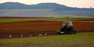 Aprobado el Real Decreto que declara la situación de sequía prolongada en la demarcación hidrográfica del Duero