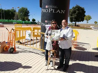 Segunda jornada del taller de educación canina de Villares de la Reina