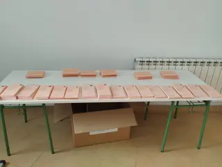 Los salmantinos mayores de 65 años pueden renunciar a la mesa electoral: estos son los plazos y requisitos