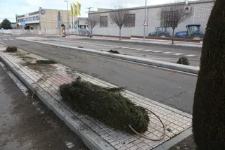 Accidente (6)