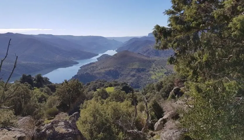 Vilvestre