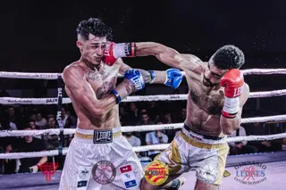 Mohamed Reda
