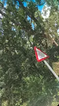 Deterioro de la señalización 