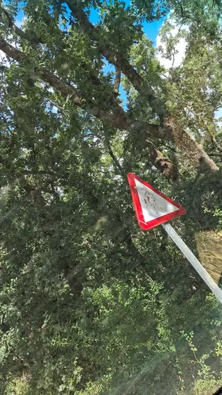 Deterioro de la señalización 