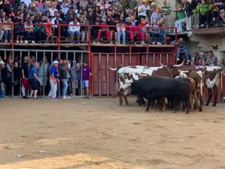 Primer encierro a caballo en Aldeadávila de la Ribera. FOTOS S24H (1)
