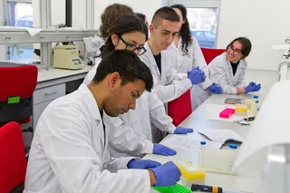 Investigadores del Instituto de Biología Funcional y Genómica (IBFG, CSIC-USAL)