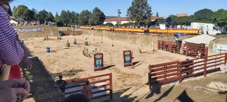 Feria del Caballo de Ciudad Rodrigo