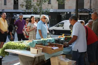 Mercado Ecológico San Justo
