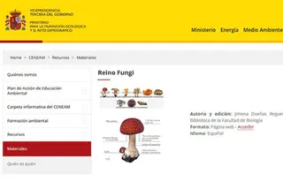 El repositorio digital de imágenes ‘Reino Fungi’ de la Biblioteca de Biología, nuevo recurso para la educación ambiental del Ministerio para la Transición Ecológica