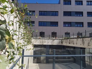 Cerca de 300 nuevas plantas tiñen de verde el patio del Centro de Convivencia Victoria Adrados