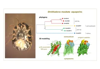 Graphical abstract