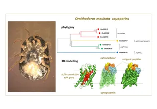 Graphical abstract
