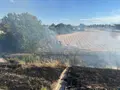 Incendio de pelusa en Carbajosa. Carbajosa Noticias
