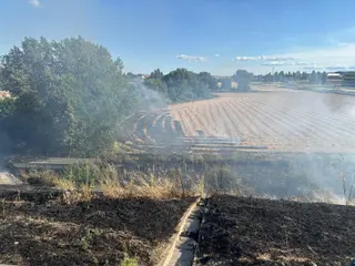 Incendio de pelusa en Carbajosa. Carbajosa Noticias