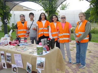 Carbajosa Felina