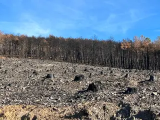 Restos del incendio Maíllo Serradilla del Arroyo. Foto S24H
