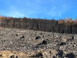 Restos del incendio Maíllo Serradilla del Arroyo. Foto S24H
