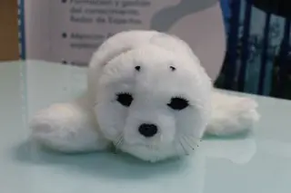 Foca robot PARO. Archivo S24H