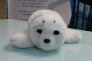 Foca robot PARO. Archivo S24H