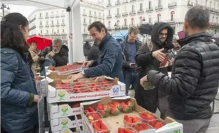 UPA reparte fresas en Madrid | EUROPA PRESS
