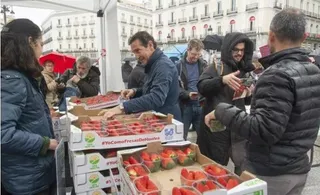 UPA reparte fresas en Madrid | EUROPA PRESS