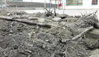 2 ELIMINACIÓN DE RAÍCES