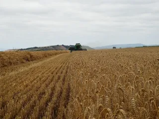 Campo. Foto EP