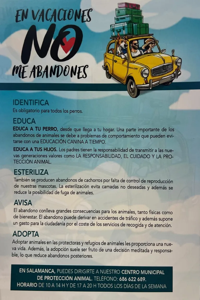 Campaña Ayuntamiento de Salamanca