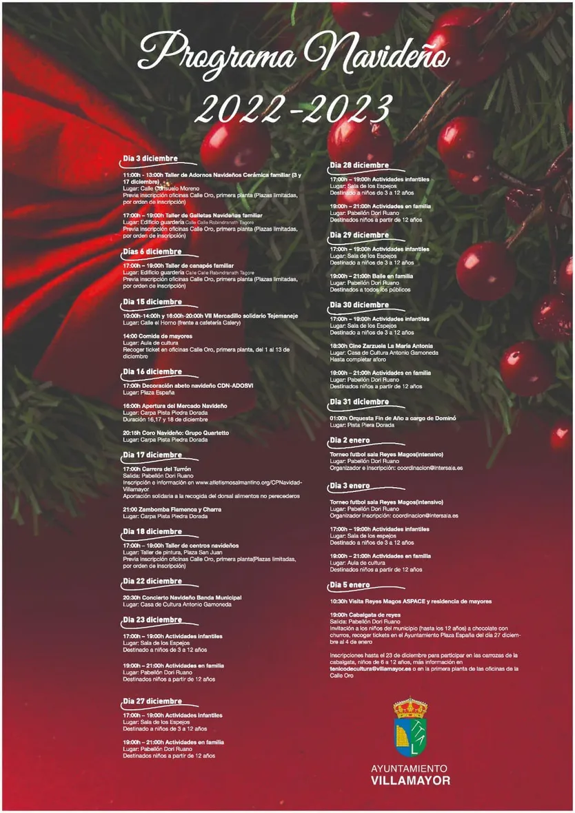 Prgrama Navidad Villamayor
