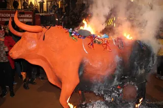 La quema simbólica de la estatua de un toro pone fin a un masivo Carnaval del Toro en Ciudad Rodrigo