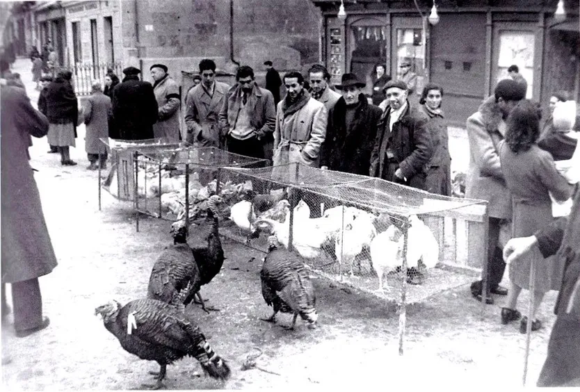 Mercadillo de aves en la plaza del Ángel. Guzmán Gombau