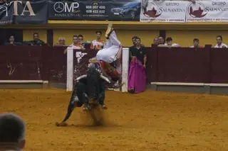 Alba de Tormes celebra un nuevo concurso de cortes | Juanes