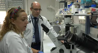 Las innovadoras terapias CAR-T colocan a Salamanca en la vanguardia de la lucha contra el cáncer hematológico